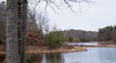 100 GATEWAY, FREDERICKSBURG, Virginia 22405, ,Farm,For sale,100 GATEWAY,VAST2043422 MLS # VAST2043422