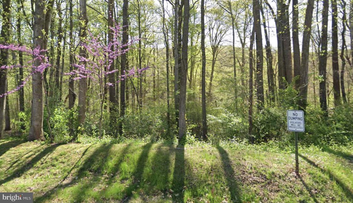 10505 GREENE DR, LORTON, Virginia 22079, ,Land,For sale,10505 GREENE DR,VAFX2279344 MLS # VAFX2279344 10505 GREENE DR, LORTON, Virginia 22079, ,Land,For sale,10505 GREENE DR,VAFX2279344 MLS # VAFX2279344