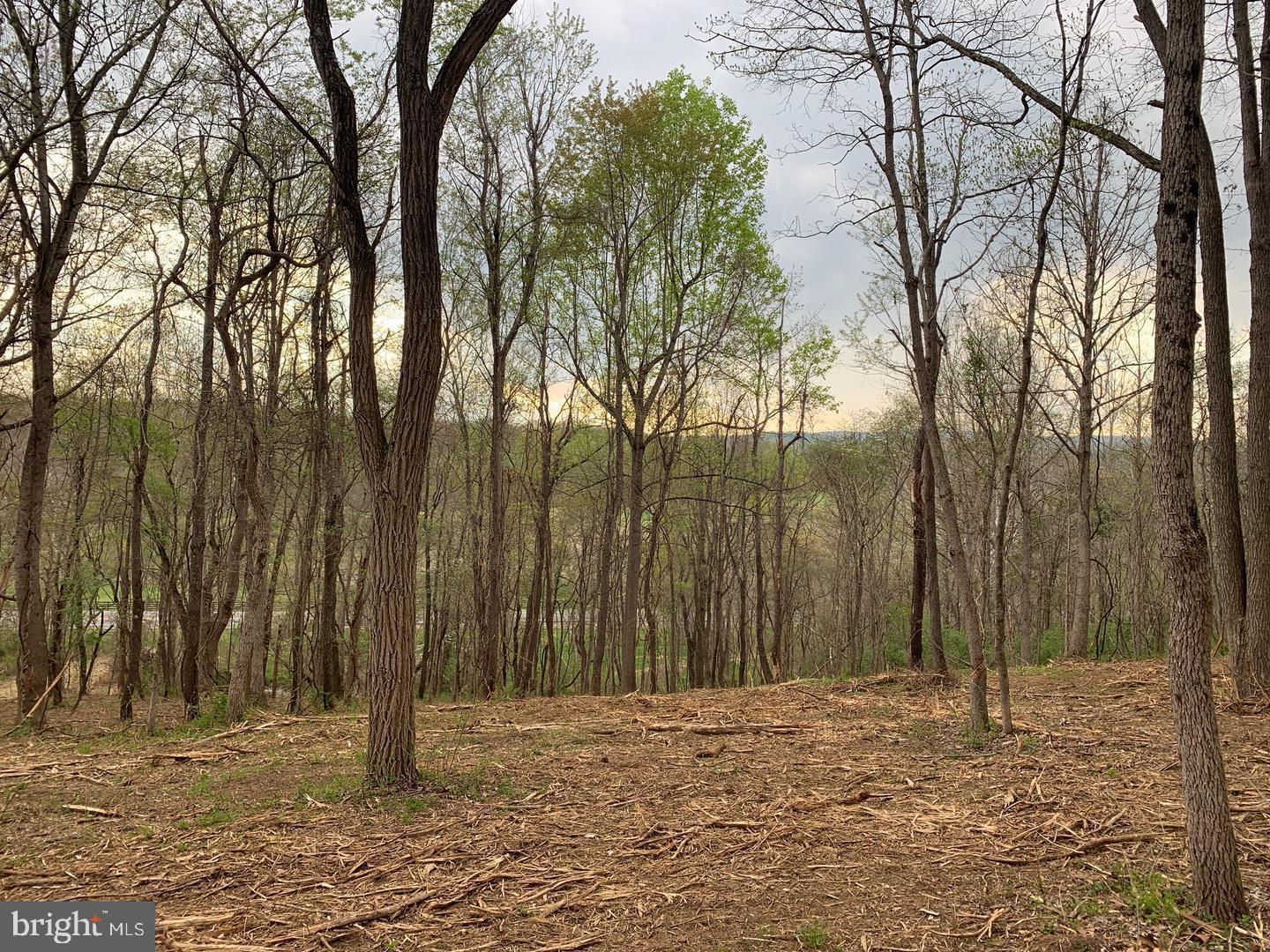 WINCHESTER ROAD, DELAPLANE, Virginia 20144, ,Land,For sale,WINCHESTER ROAD,VAFQ2019696 MLS # VAFQ2019696 WINCHESTER ROAD, DELAPLANE, Virginia 20144, ,Land,For sale,WINCHESTER ROAD,VAFQ2019696 MLS # VAFQ2019696