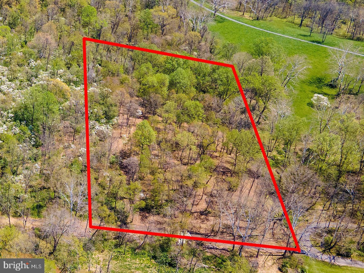 WINCHESTER ROAD, DELAPLANE, Virginia 20144, ,Land,For sale,WINCHESTER ROAD,VAFQ2019696 MLS # VAFQ2019696 WINCHESTER ROAD, DELAPLANE, Virginia 20144, ,Land,For sale,WINCHESTER ROAD,VAFQ2019696 MLS # VAFQ2019696