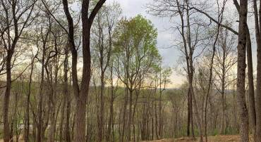 WINCHESTER ROAD, DELAPLANE, Virginia 20144, ,Land,For sale,WINCHESTER ROAD,VAFQ2019696 MLS # VAFQ2019696