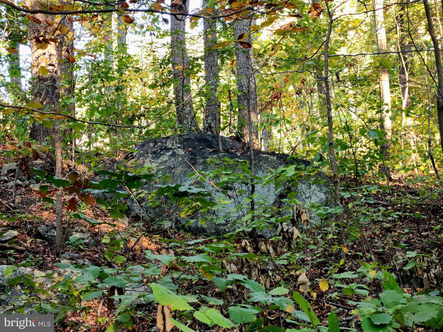 LOTS 3 AND 4 ERNEST ROBINSON ROAD, MARSHALL, Virginia 20115, ,Land,For sale,LOTS 3 AND 4 ERNEST ROBINSON ROAD,VAFQ2019712 MLS # VAFQ2019712 LOTS 3 AND 4 ERNEST ROBINSON ROAD, MARSHALL, Virginia 20115, ,Land,For sale,LOTS 3 AND 4 ERNEST ROBINSON ROAD,VAFQ2019712 MLS # VAFQ2019712