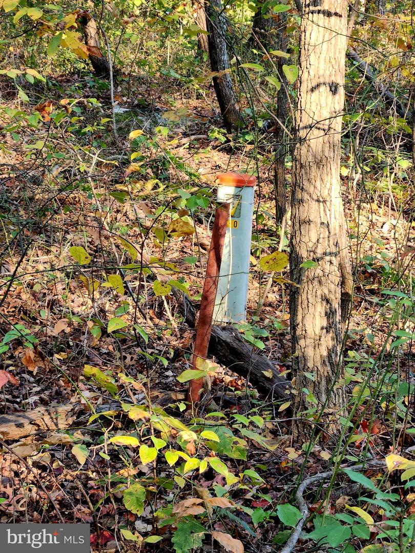 LOTS 3 AND 4 ERNEST ROBINSON ROAD, MARSHALL, Virginia 20115, ,Land,For sale,LOTS 3 AND 4 ERNEST ROBINSON ROAD,VAFQ2019712 MLS # VAFQ2019712 LOTS 3 AND 4 ERNEST ROBINSON ROAD, MARSHALL, Virginia 20115, ,Land,For sale,LOTS 3 AND 4 ERNEST ROBINSON ROAD,VAFQ2019712 MLS # VAFQ2019712