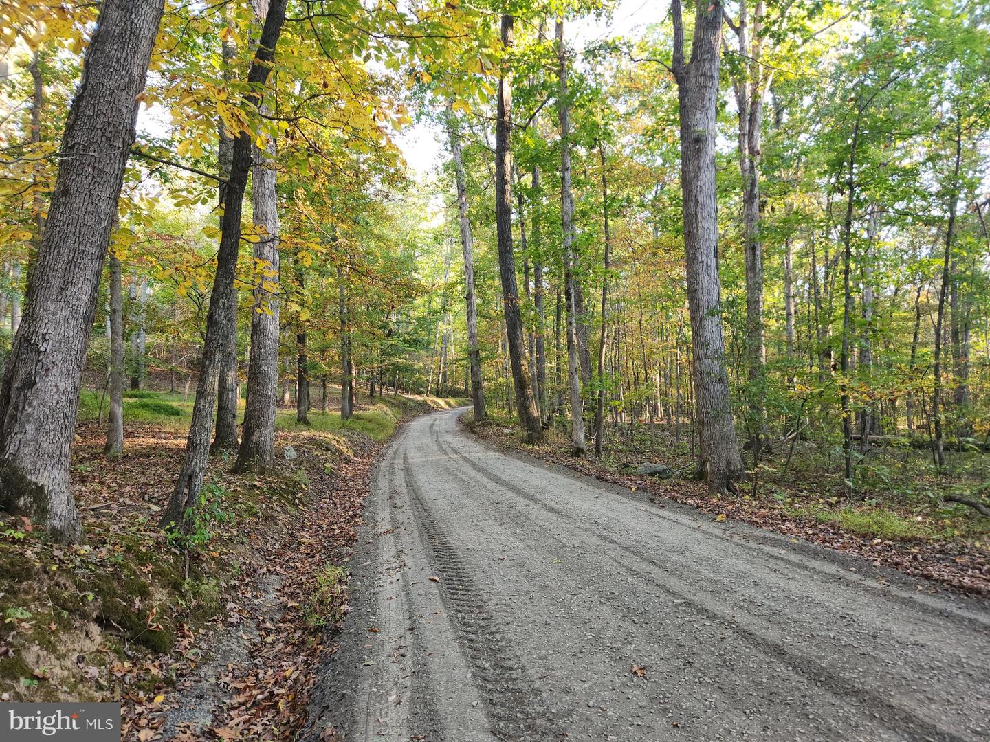 LOTS 3 AND 4 ERNEST ROBINSON ROAD, MARSHALL, Virginia 20115, ,Land,For sale,LOTS 3 AND 4 ERNEST ROBINSON ROAD,VAFQ2019712 MLS # VAFQ2019712 LOTS 3 AND 4 ERNEST ROBINSON ROAD, MARSHALL, Virginia 20115, ,Land,For sale,LOTS 3 AND 4 ERNEST ROBINSON ROAD,VAFQ2019712 MLS # VAFQ2019712