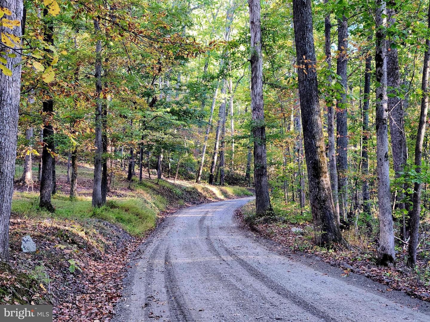 LOTS 3 AND 4 ERNEST ROBINSON ROAD, MARSHALL, Virginia 20115, ,Land,For sale,LOTS 3 AND 4 ERNEST ROBINSON ROAD,VAFQ2019712 MLS # VAFQ2019712 LOTS 3 AND 4 ERNEST ROBINSON ROAD, MARSHALL, Virginia 20115, ,Land,For sale,LOTS 3 AND 4 ERNEST ROBINSON ROAD,VAFQ2019712 MLS # VAFQ2019712