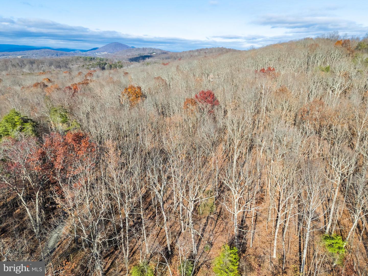 LOTS 3 AND 4 ERNEST ROBINSON ROAD, MARSHALL, Virginia 20115, ,Land,For sale,LOTS 3 AND 4 ERNEST ROBINSON ROAD,VAFQ2019712 MLS # VAFQ2019712 LOTS 3 AND 4 ERNEST ROBINSON ROAD, MARSHALL, Virginia 20115, ,Land,For sale,LOTS 3 AND 4 ERNEST ROBINSON ROAD,VAFQ2019712 MLS # VAFQ2019712