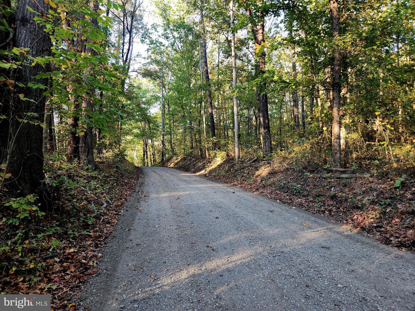 LOTS 3 AND 4 ERNEST ROBINSON ROAD, MARSHALL, Virginia 20115, ,Land,For sale,LOTS 3 AND 4 ERNEST ROBINSON ROAD,VAFQ2019712 MLS # VAFQ2019712 LOTS 3 AND 4 ERNEST ROBINSON ROAD, MARSHALL, Virginia 20115, ,Land,For sale,LOTS 3 AND 4 ERNEST ROBINSON ROAD,VAFQ2019712 MLS # VAFQ2019712