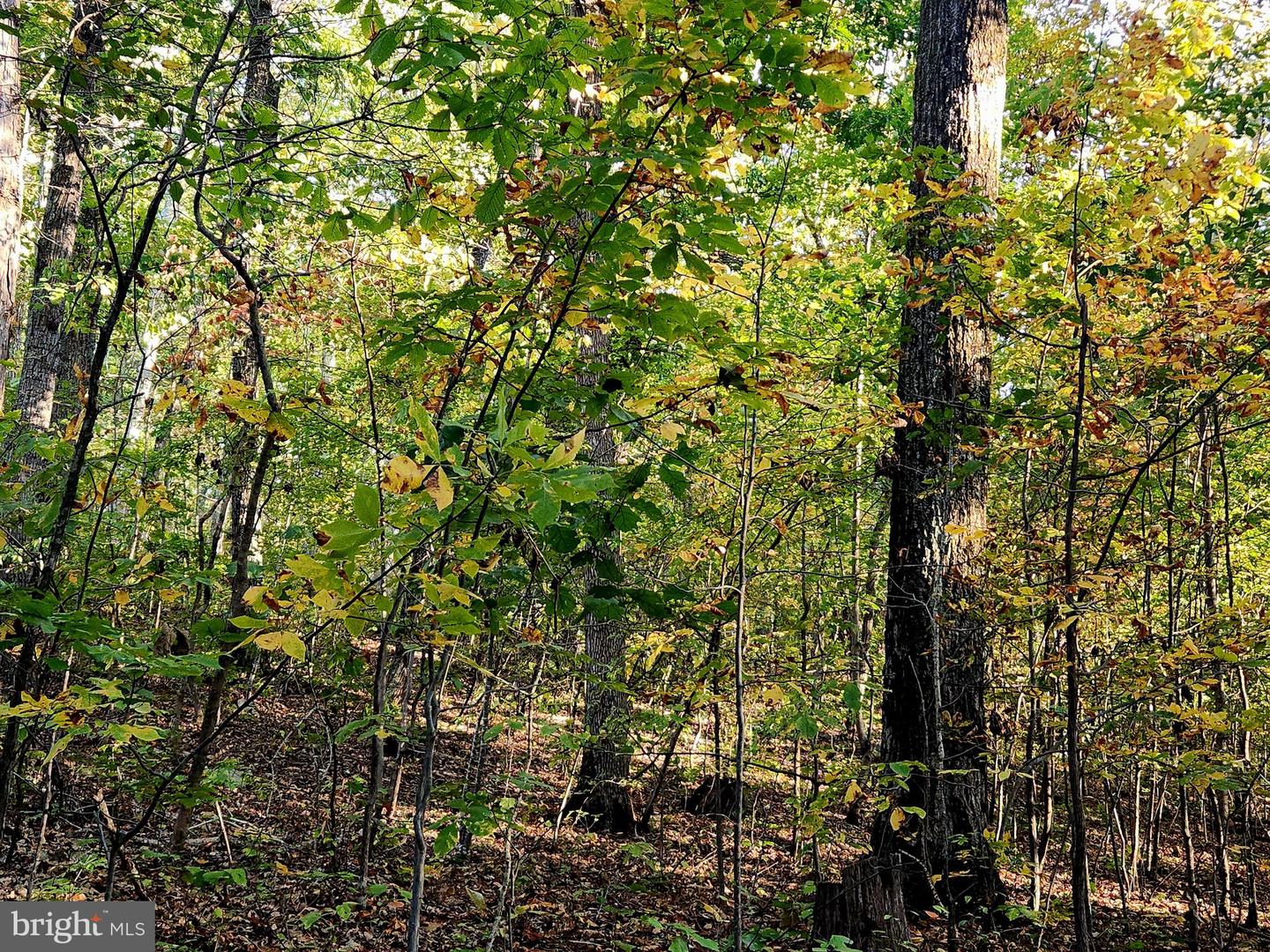 LOTS 3 AND 4 ERNEST ROBINSON ROAD, MARSHALL, Virginia 20115, ,Land,For sale,LOTS 3 AND 4 ERNEST ROBINSON ROAD,VAFQ2019712 MLS # VAFQ2019712 LOTS 3 AND 4 ERNEST ROBINSON ROAD, MARSHALL, Virginia 20115, ,Land,For sale,LOTS 3 AND 4 ERNEST ROBINSON ROAD,VAFQ2019712 MLS # VAFQ2019712