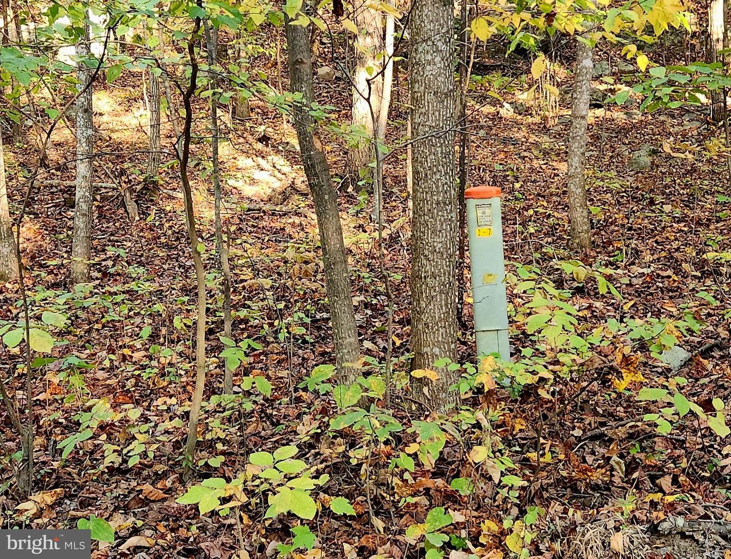 LOTS 3 AND 4 ERNEST ROBINSON ROAD, MARSHALL, Virginia 20115, ,Land,For sale,LOTS 3 AND 4 ERNEST ROBINSON ROAD,VAFQ2019712 MLS # VAFQ2019712 LOTS 3 AND 4 ERNEST ROBINSON ROAD, MARSHALL, Virginia 20115, ,Land,For sale,LOTS 3 AND 4 ERNEST ROBINSON ROAD,VAFQ2019712 MLS # VAFQ2019712