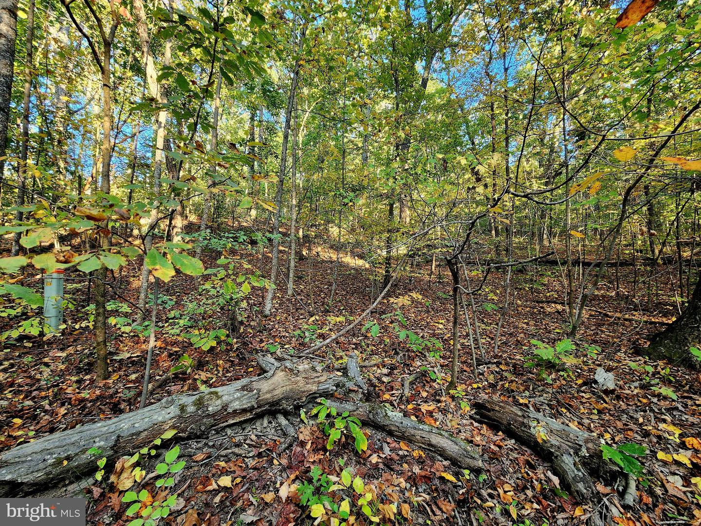 LOTS 3 AND 4 ERNEST ROBINSON ROAD, MARSHALL, Virginia 20115, ,Land,For sale,LOTS 3 AND 4 ERNEST ROBINSON ROAD,VAFQ2019712 MLS # VAFQ2019712 LOTS 3 AND 4 ERNEST ROBINSON ROAD, MARSHALL, Virginia 20115, ,Land,For sale,LOTS 3 AND 4 ERNEST ROBINSON ROAD,VAFQ2019712 MLS # VAFQ2019712