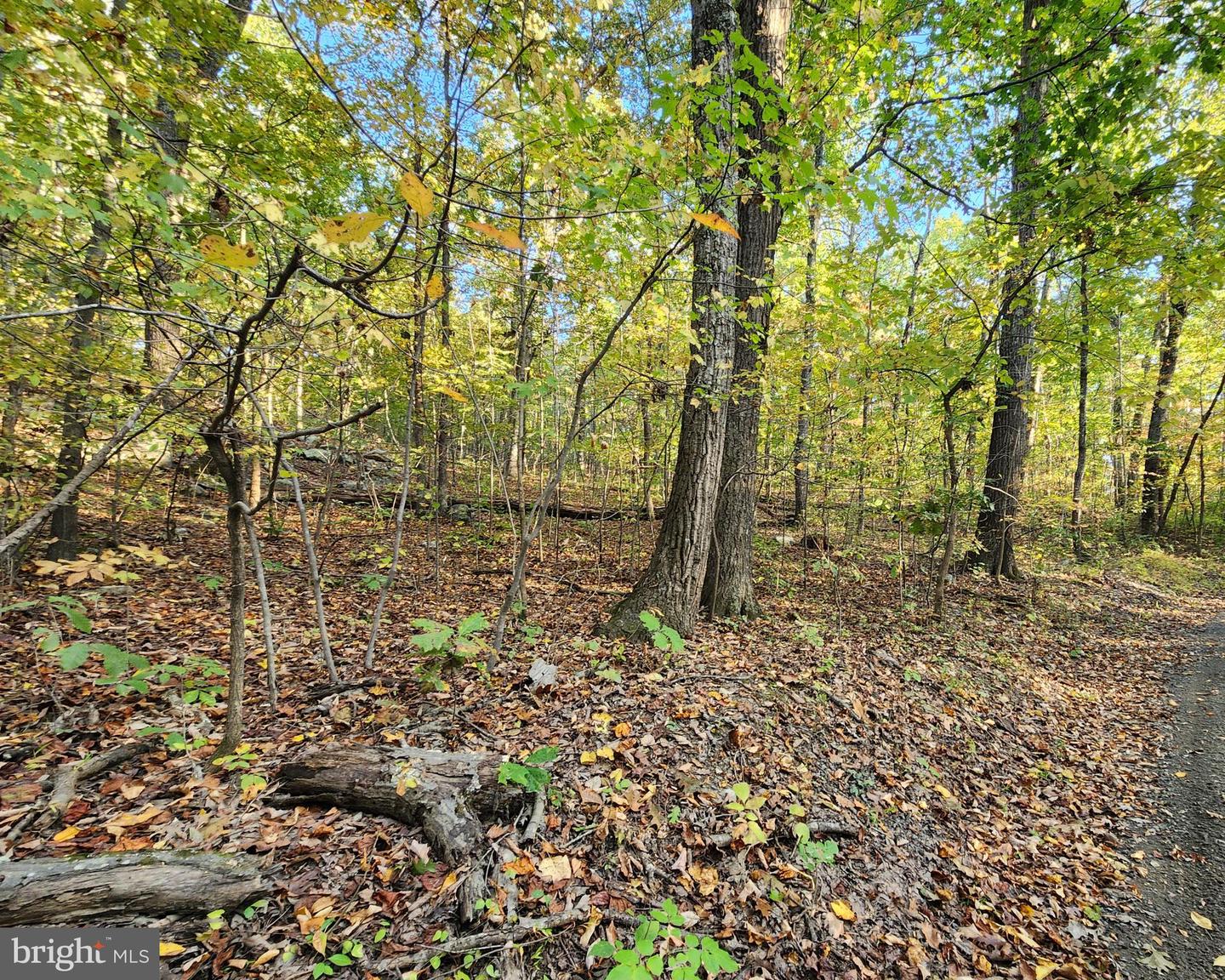 LOTS 3 AND 4 ERNEST ROBINSON ROAD, MARSHALL, Virginia 20115, ,Land,For sale,LOTS 3 AND 4 ERNEST ROBINSON ROAD,VAFQ2019712 MLS # VAFQ2019712 LOTS 3 AND 4 ERNEST ROBINSON ROAD, MARSHALL, Virginia 20115, ,Land,For sale,LOTS 3 AND 4 ERNEST ROBINSON ROAD,VAFQ2019712 MLS # VAFQ2019712