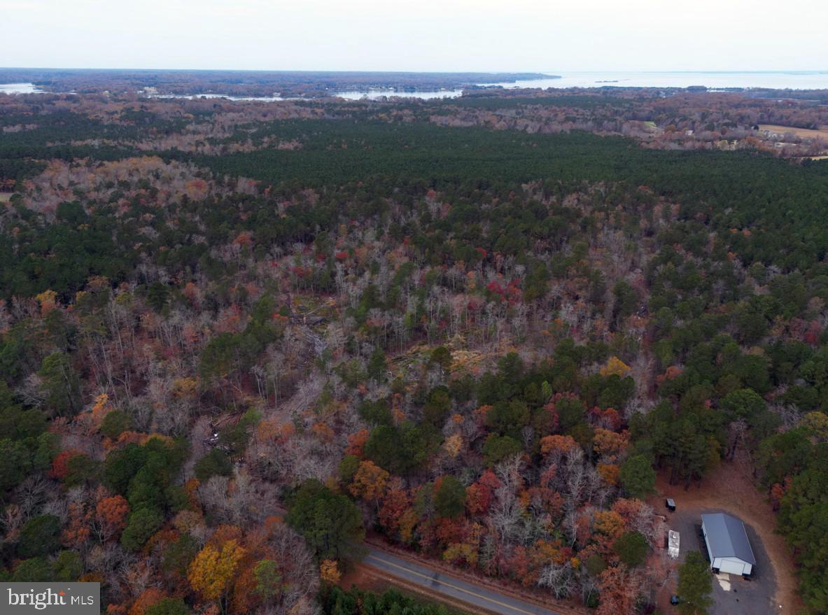 00 ERICA RD, MONTROSS, Virginia 22520, ,Land,For sale,00 ERICA RD,VAWE2010146 MLS # VAWE2010146