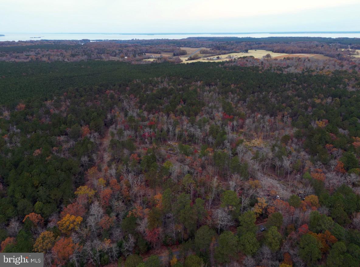 00 ERICA RD, MONTROSS, Virginia 22520, ,Land,For sale,00 ERICA RD,VAWE2010146 MLS # VAWE2010146