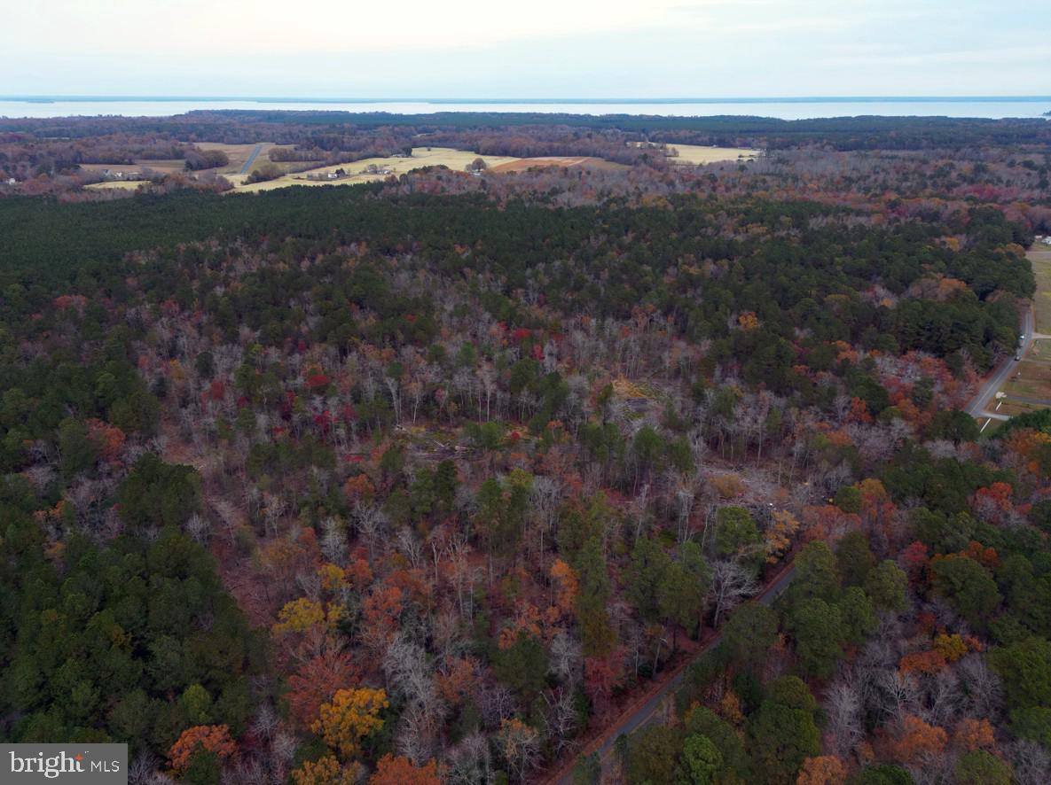 00 ERICA RD, MONTROSS, Virginia 22520, ,Land,For sale,00 ERICA RD,VAWE2010146 MLS # VAWE2010146