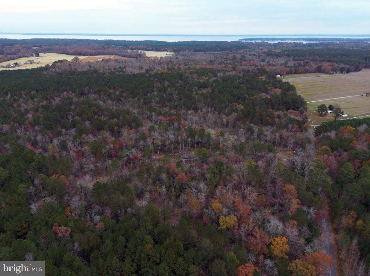 00 ERICA RD, MONTROSS, Virginia 22520, ,Land,For sale,00 ERICA RD,VAWE2010146 MLS # VAWE2010146