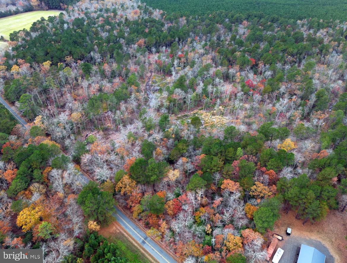 00 ERICA RD, MONTROSS, Virginia 22520, ,Land,For sale,00 ERICA RD,VAWE2010146 MLS # VAWE2010146