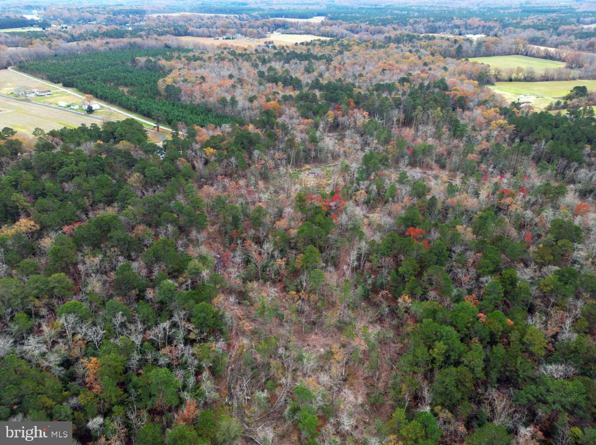 00 ERICA RD, MONTROSS, Virginia 22520, ,Land,For sale,00 ERICA RD,VAWE2010146 MLS # VAWE2010146