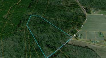 00 ERICA RD, MONTROSS, Virginia 22520, ,Land,For sale,00 ERICA RD,VAWE2010146 MLS # VAWE2010146