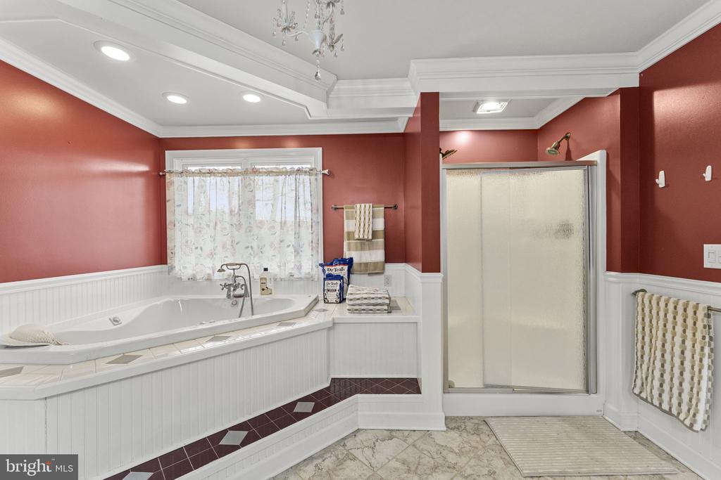 14555 LEE HWY, AMISSVILLE, Virginia 20106, 4 Bedrooms Bedrooms, ,4 BathroomsBathrooms,Residential,14555 LEE HWY,VARP2002390 MLS # VARP2002390