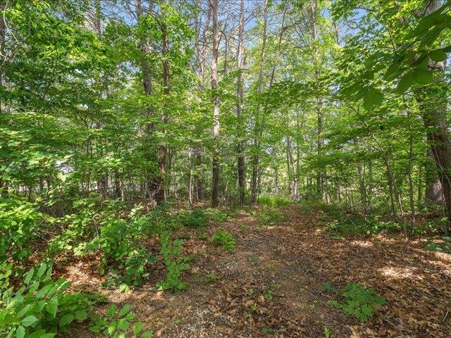 41 HICKORY NUT LN, STAUNTON, Virginia 24401, 3 Bedrooms Bedrooms, ,2 BathroomsBathrooms,Residential,41 HICKORY NUT LN,665564 MLS # 665564