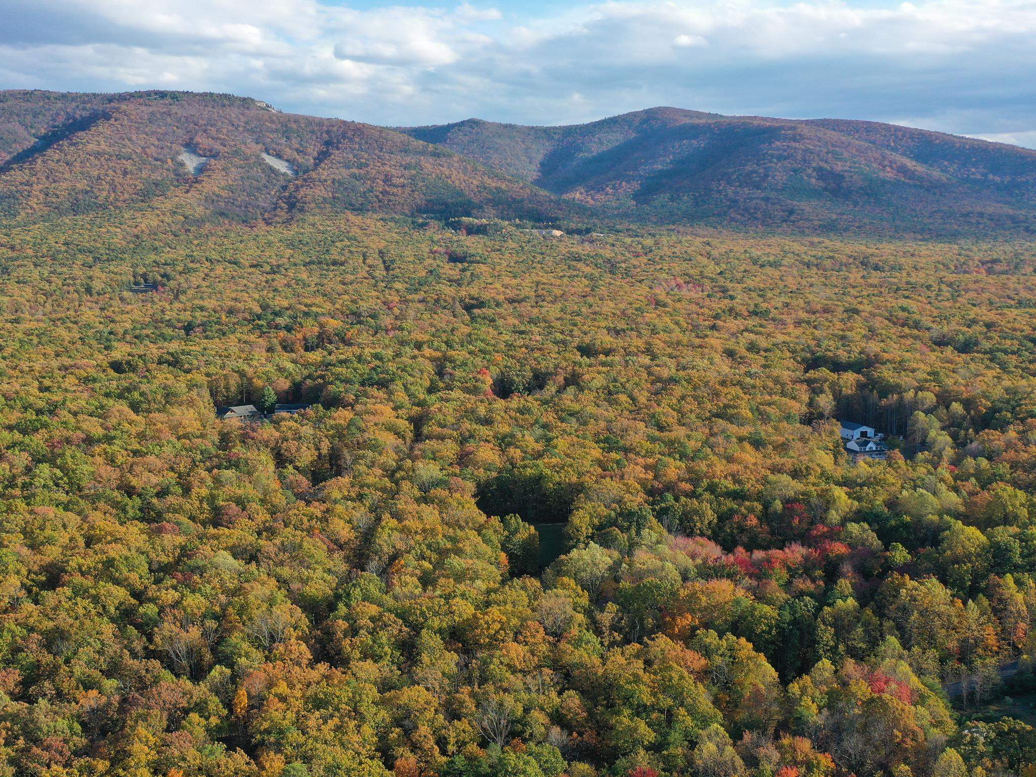 127 KAOLIN SPRING LN, GREENVILLE, Virginia 24440, 3 Bedrooms Bedrooms, ,2 BathroomsBathrooms,Residential,127 KAOLIN SPRING LN,671311 MLS # 671311