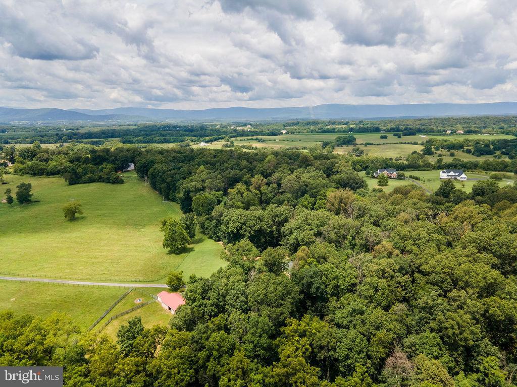 1115 CHAPEL RD, MIDDLETOWN, Virginia 22645, 3 Bedrooms Bedrooms, ,2 BathroomsBathrooms,Farm,For sale,1115 CHAPEL RD,VAFV2038158 MLS # VAFV2038158