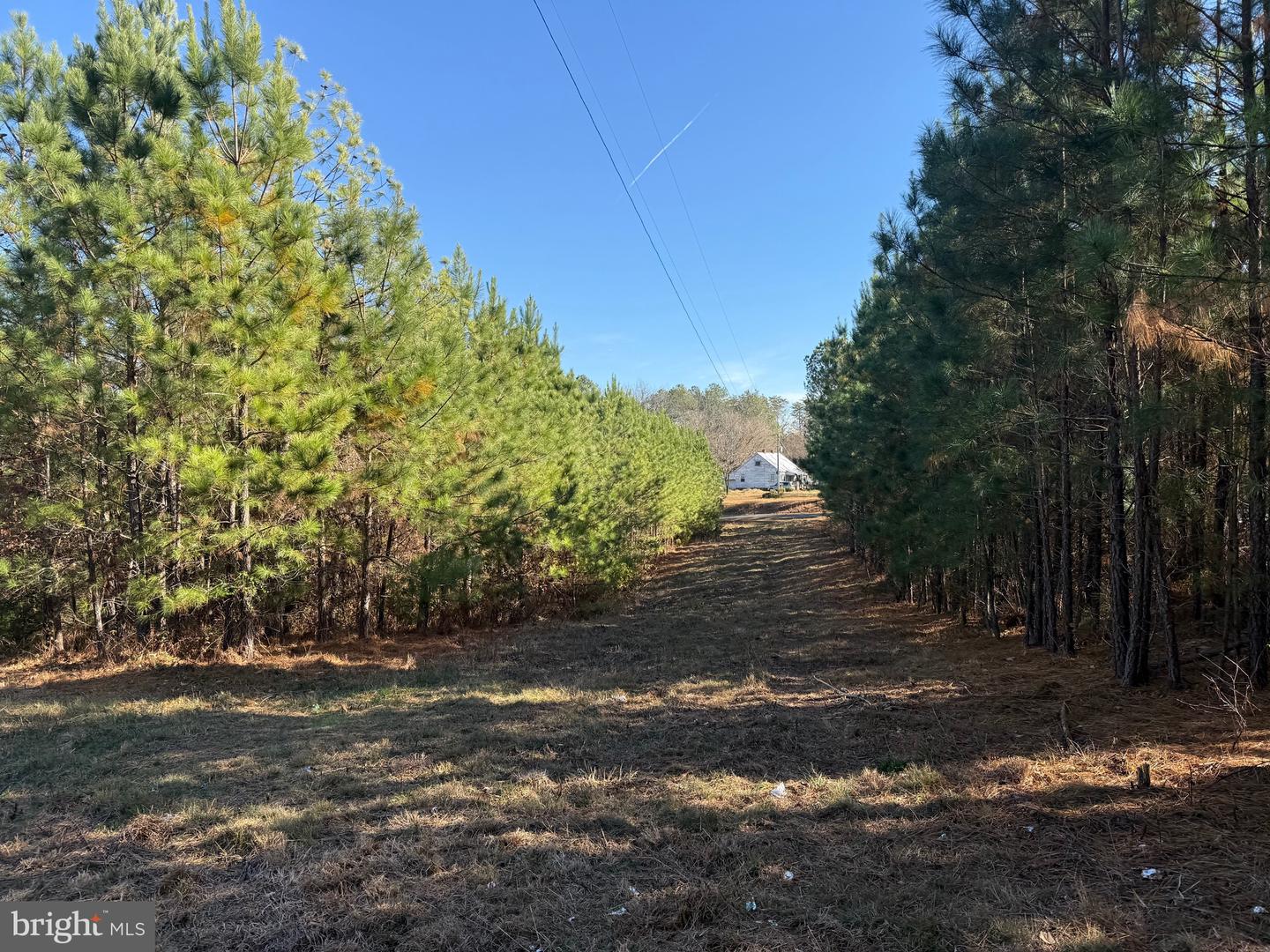 0 HARDWARE RD, SCOTTSVILLE, Virginia 24562, ,Land,For sale,0 HARDWARE RD,VABH2000240 MLS # VABH2000240 0 HARDWARE RD, SCOTTSVILLE, Virginia 24562, ,Land,For sale,0 HARDWARE RD,VABH2000240 MLS # VABH2000240