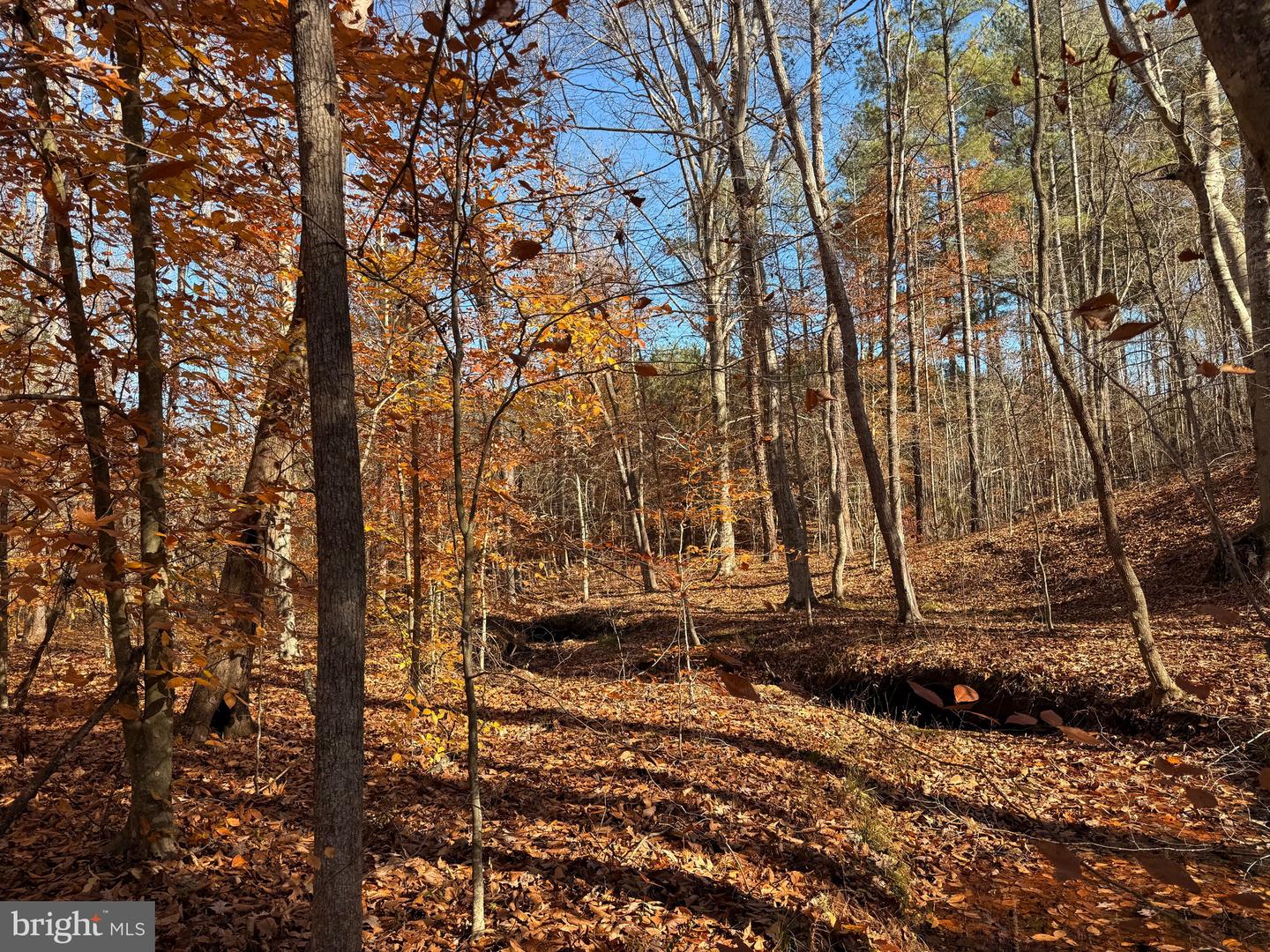 0 HARDWARE RD, SCOTTSVILLE, Virginia 24562, ,Land,For sale,0 HARDWARE RD,VABH2000240 MLS # VABH2000240 0 HARDWARE RD, SCOTTSVILLE, Virginia 24562, ,Land,For sale,0 HARDWARE RD,VABH2000240 MLS # VABH2000240