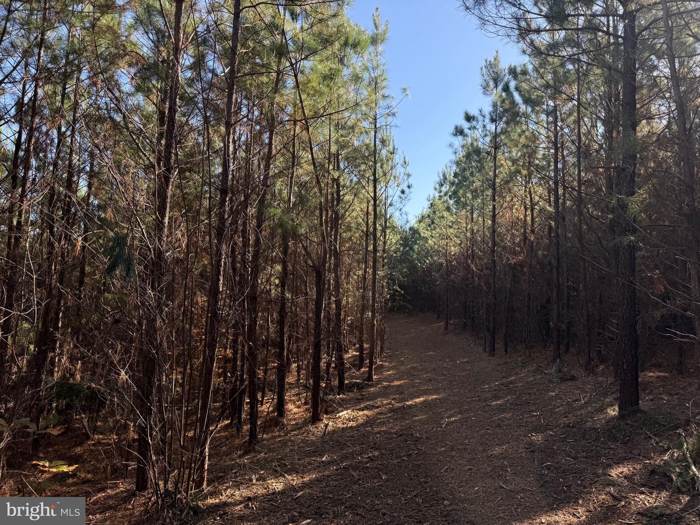 0 HARDWARE RD, SCOTTSVILLE, Virginia 24562, ,Land,For sale,0 HARDWARE RD,VABH2000240 MLS # VABH2000240 0 HARDWARE RD, SCOTTSVILLE, Virginia 24562, ,Land,For sale,0 HARDWARE RD,VABH2000240 MLS # VABH2000240