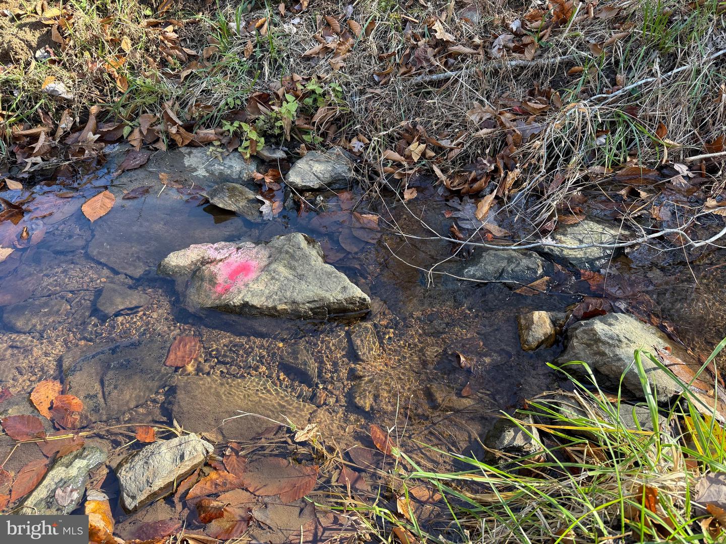 0 HARDWARE RD, SCOTTSVILLE, Virginia 24562, ,Land,For sale,0 HARDWARE RD,VABH2000240 MLS # VABH2000240 0 HARDWARE RD, SCOTTSVILLE, Virginia 24562, ,Land,For sale,0 HARDWARE RD,VABH2000240 MLS # VABH2000240