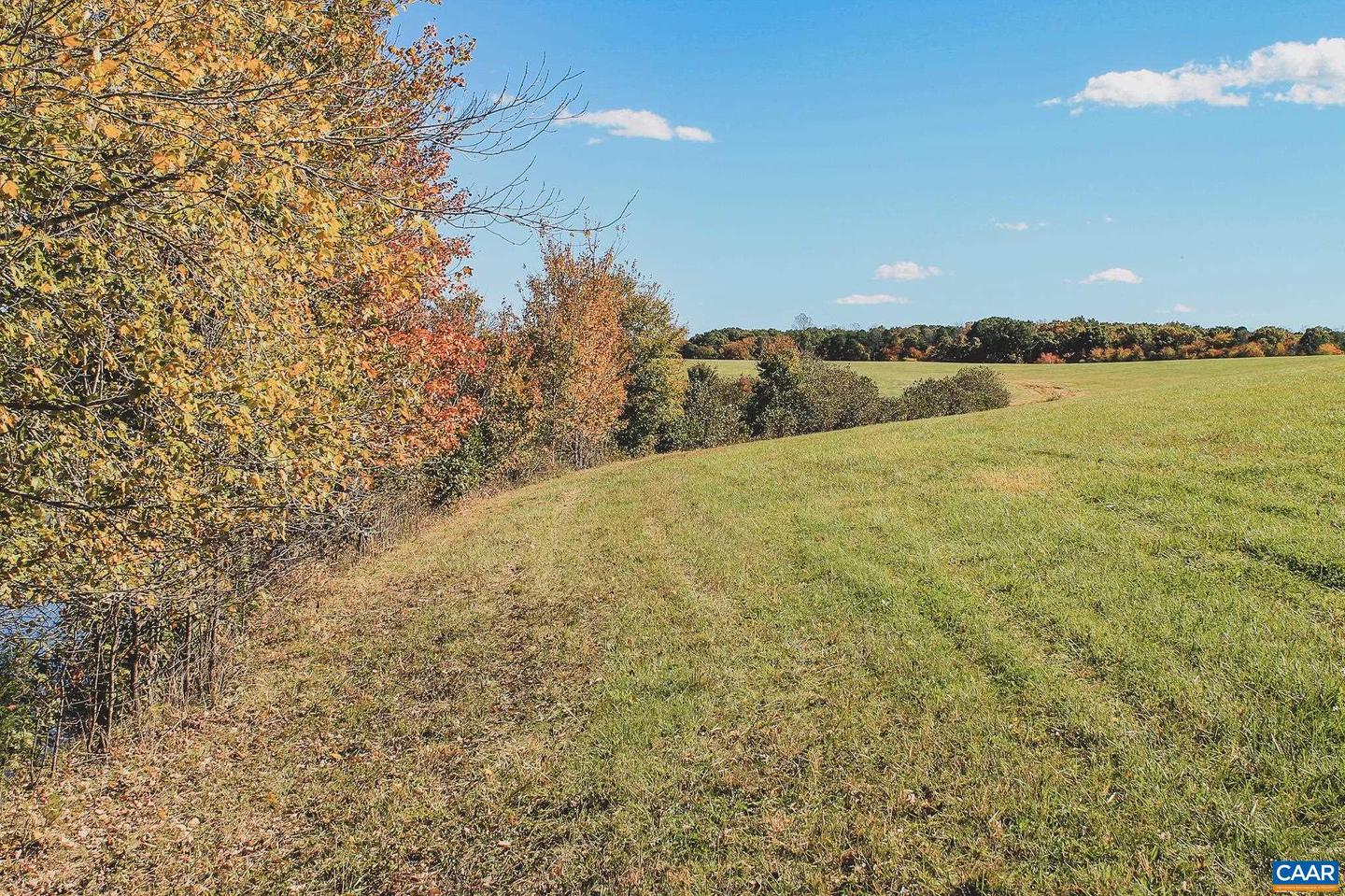 LOT 15 BRIERY CREEK RD, SCOTTSVILLE, Virginia 24590, ,Land,For sale,LOT 15 BRIERY CREEK RD,671319 MLS # 671319 LOT 15 BRIERY CREEK RD, SCOTTSVILLE, Virginia 24590, ,Land,For sale,LOT 15 BRIERY CREEK RD,671319 MLS # 671319