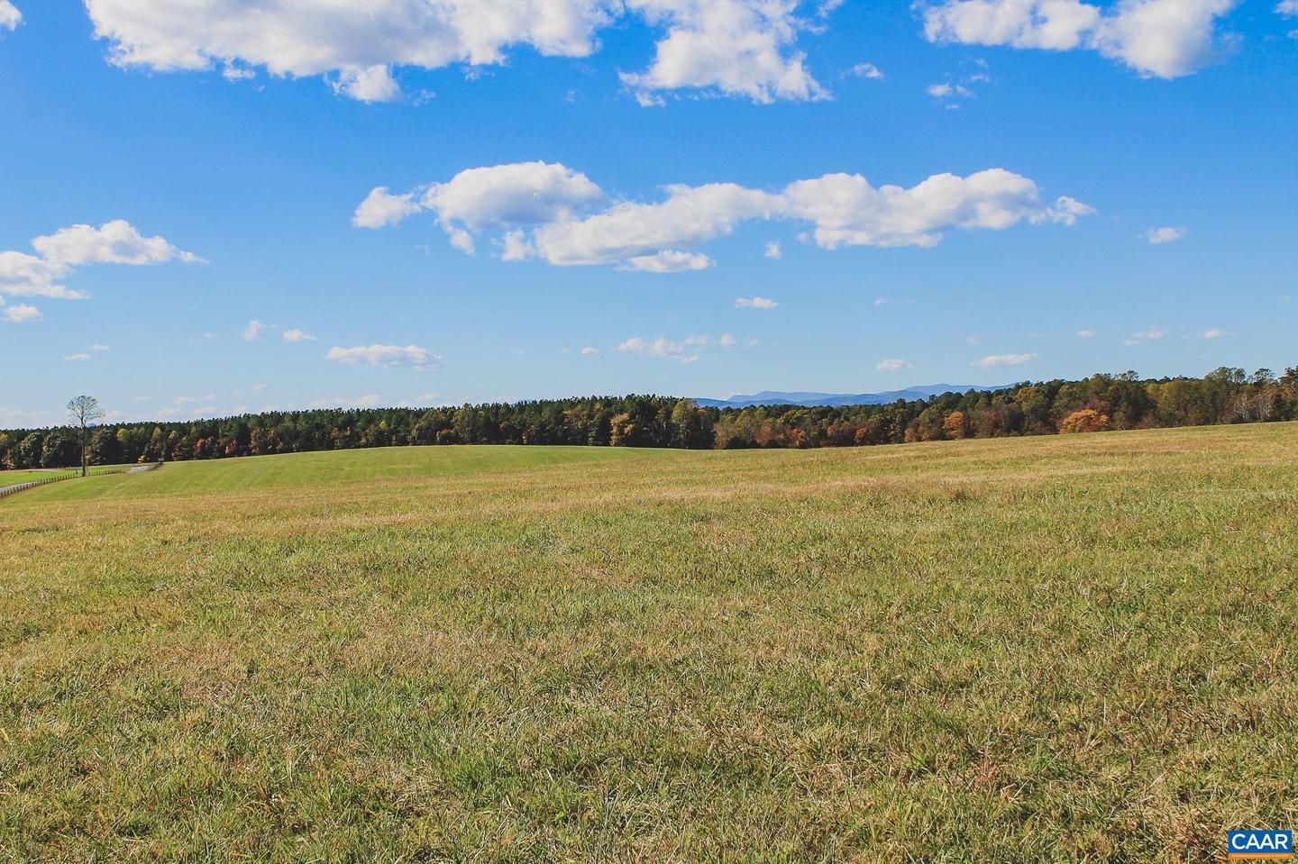 LOT 15 BRIERY CREEK RD, SCOTTSVILLE, Virginia 24590, ,Land,For sale,LOT 15 BRIERY CREEK RD,671319 MLS # 671319 LOT 15 BRIERY CREEK RD, SCOTTSVILLE, Virginia 24590, ,Land,For sale,LOT 15 BRIERY CREEK RD,671319 MLS # 671319