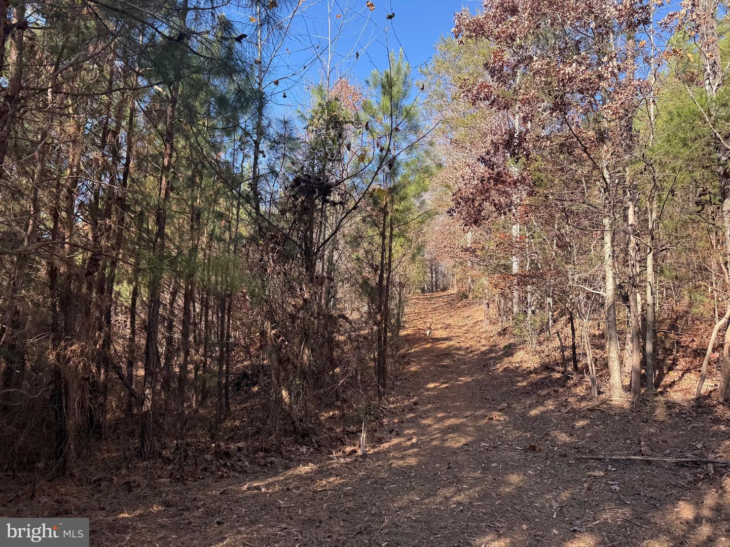 1 HARDWARE RD, SCOTTSVILLE, Virginia 24562, ,Land,For sale,1 HARDWARE RD,VABH2000242 MLS # VABH2000242