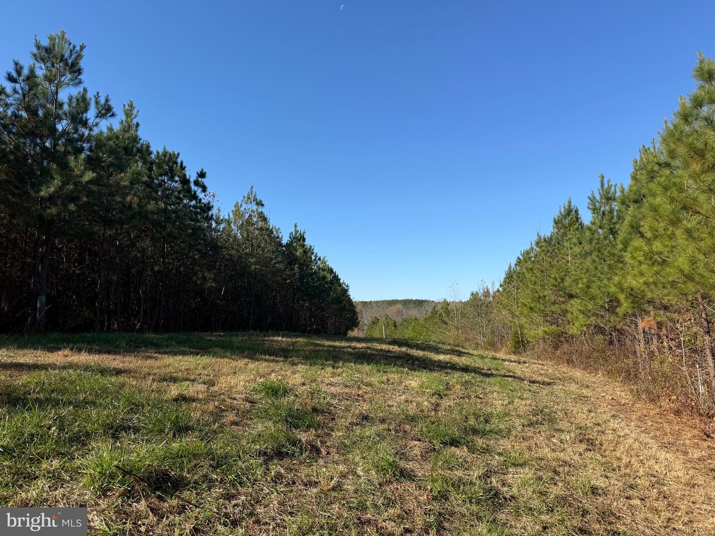 1 HARDWARE RD, SCOTTSVILLE, Virginia 24562, ,Land,For sale,1 HARDWARE RD,VABH2000242 MLS # VABH2000242