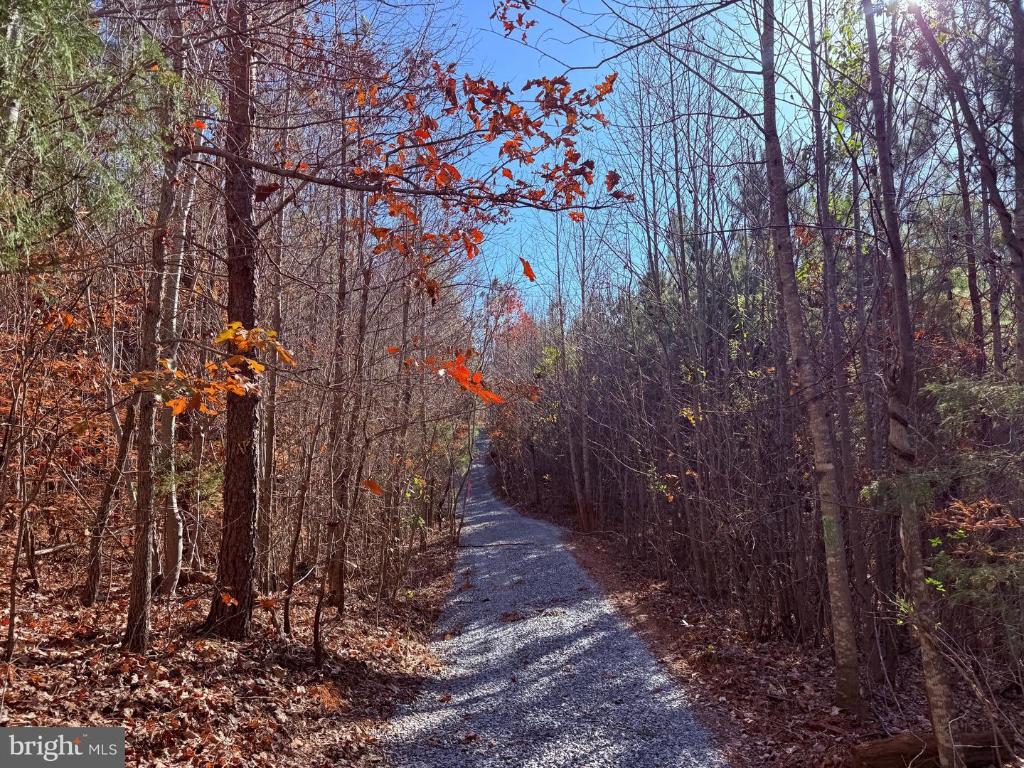 1 HARDWARE RD, SCOTTSVILLE, Virginia 24562, ,Land,For sale,1 HARDWARE RD,VABH2000242 MLS # VABH2000242