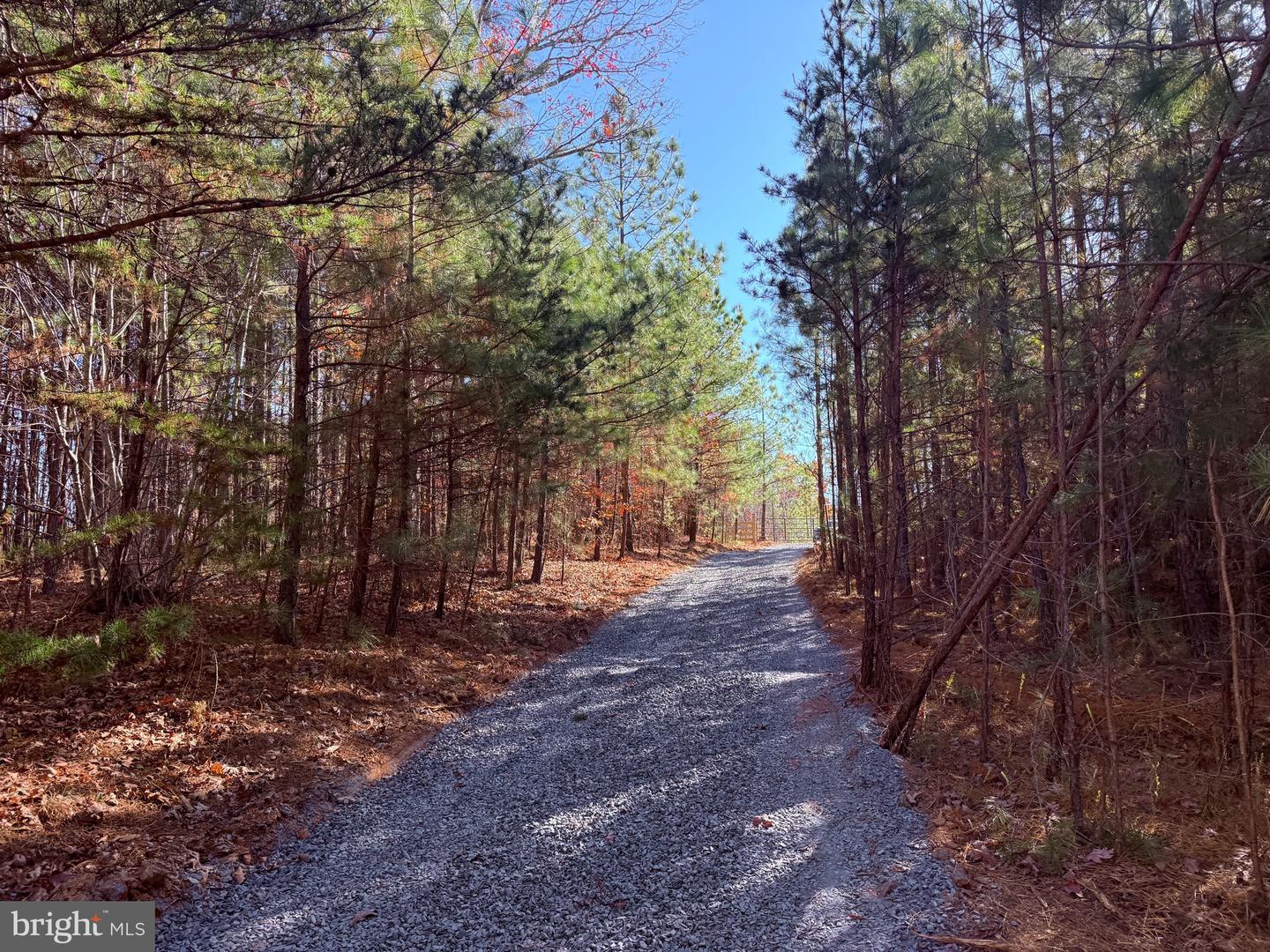 1 HARDWARE RD, SCOTTSVILLE, Virginia 24562, ,Land,For sale,1 HARDWARE RD,VABH2000242 MLS # VABH2000242