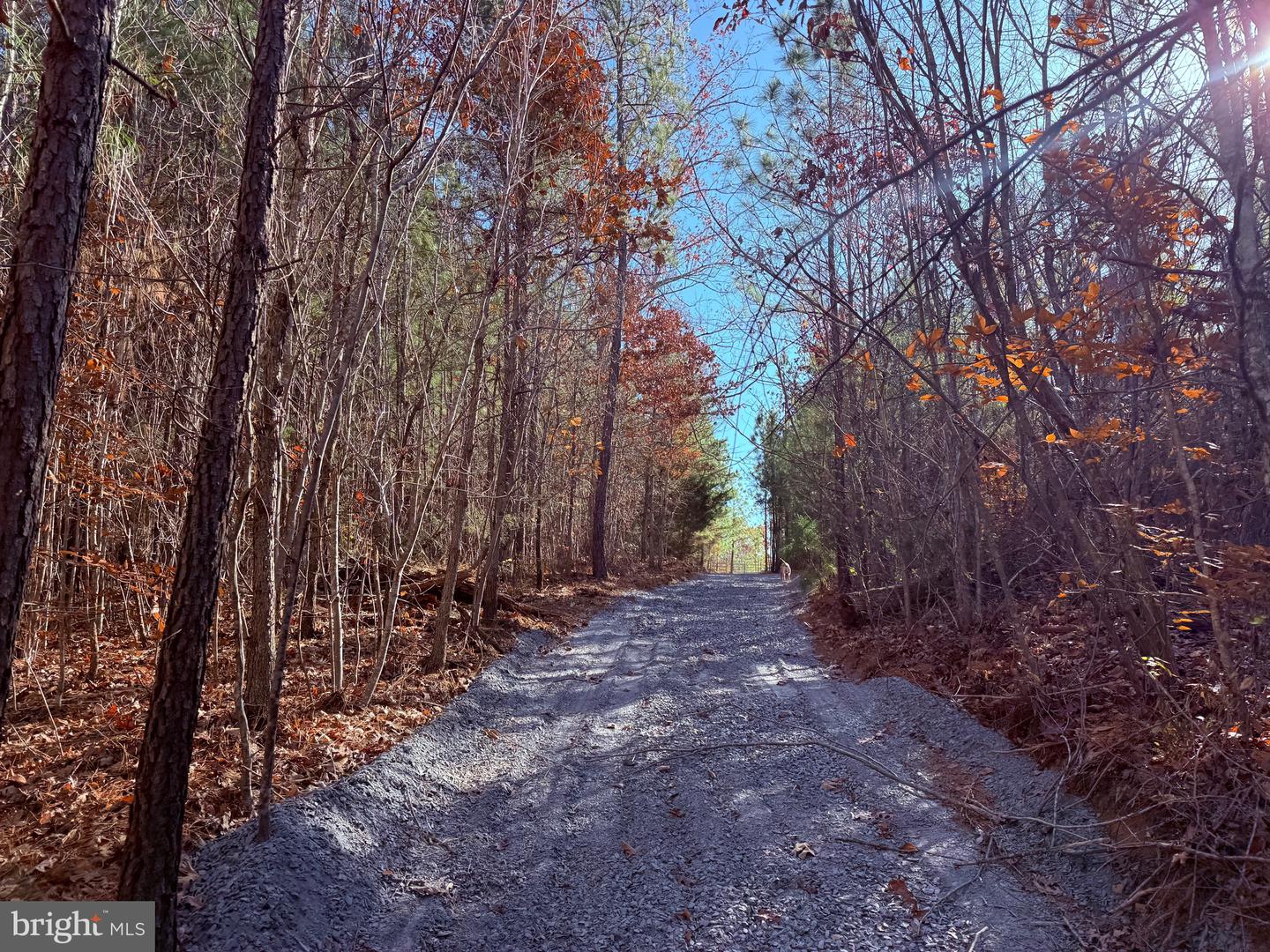 1 HARDWARE RD, SCOTTSVILLE, Virginia 24562, ,Land,For sale,1 HARDWARE RD,VABH2000242 MLS # VABH2000242