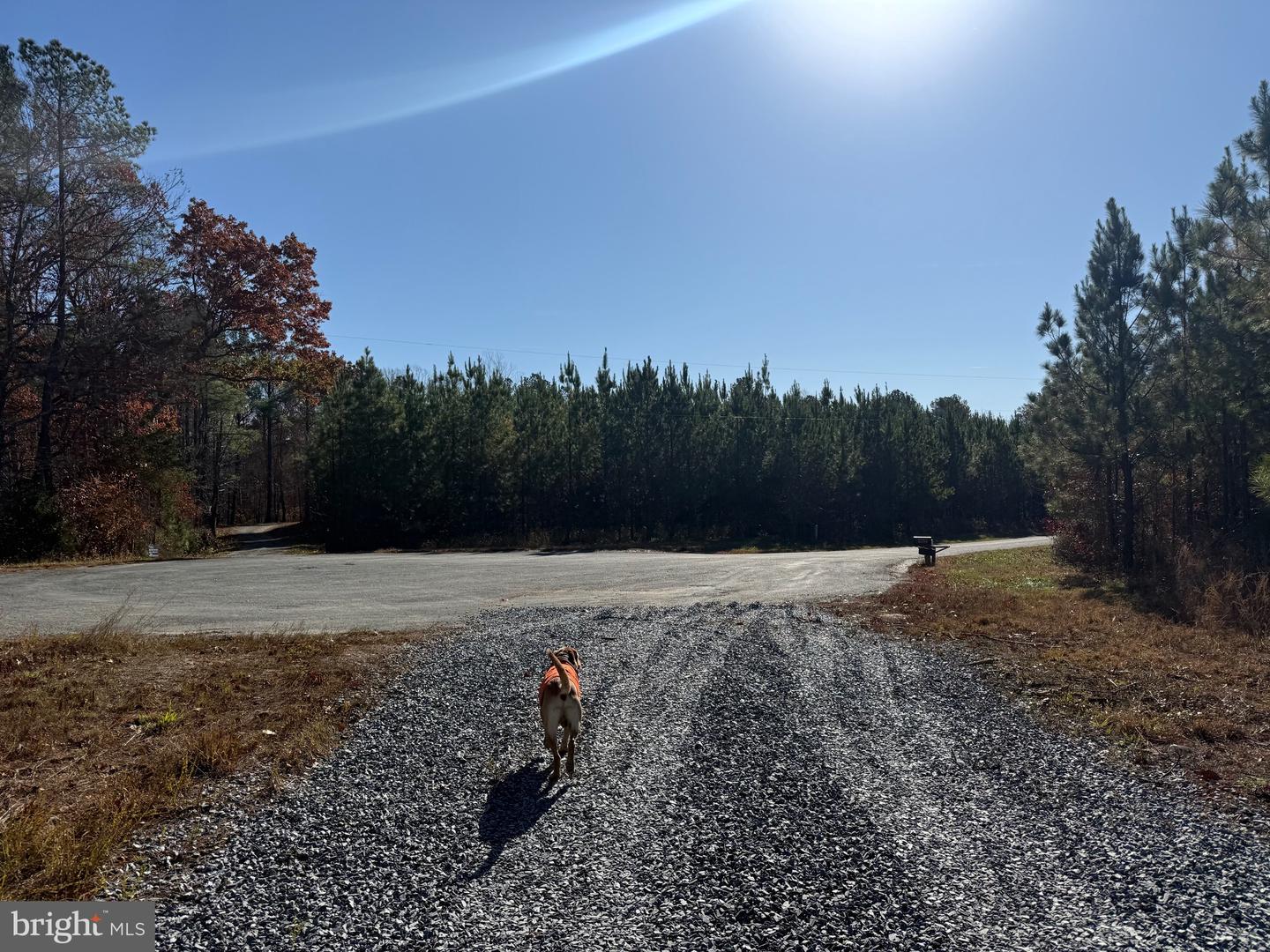 1 HARDWARE RD, SCOTTSVILLE, Virginia 24562, ,Land,For sale,1 HARDWARE RD,VABH2000242 MLS # VABH2000242