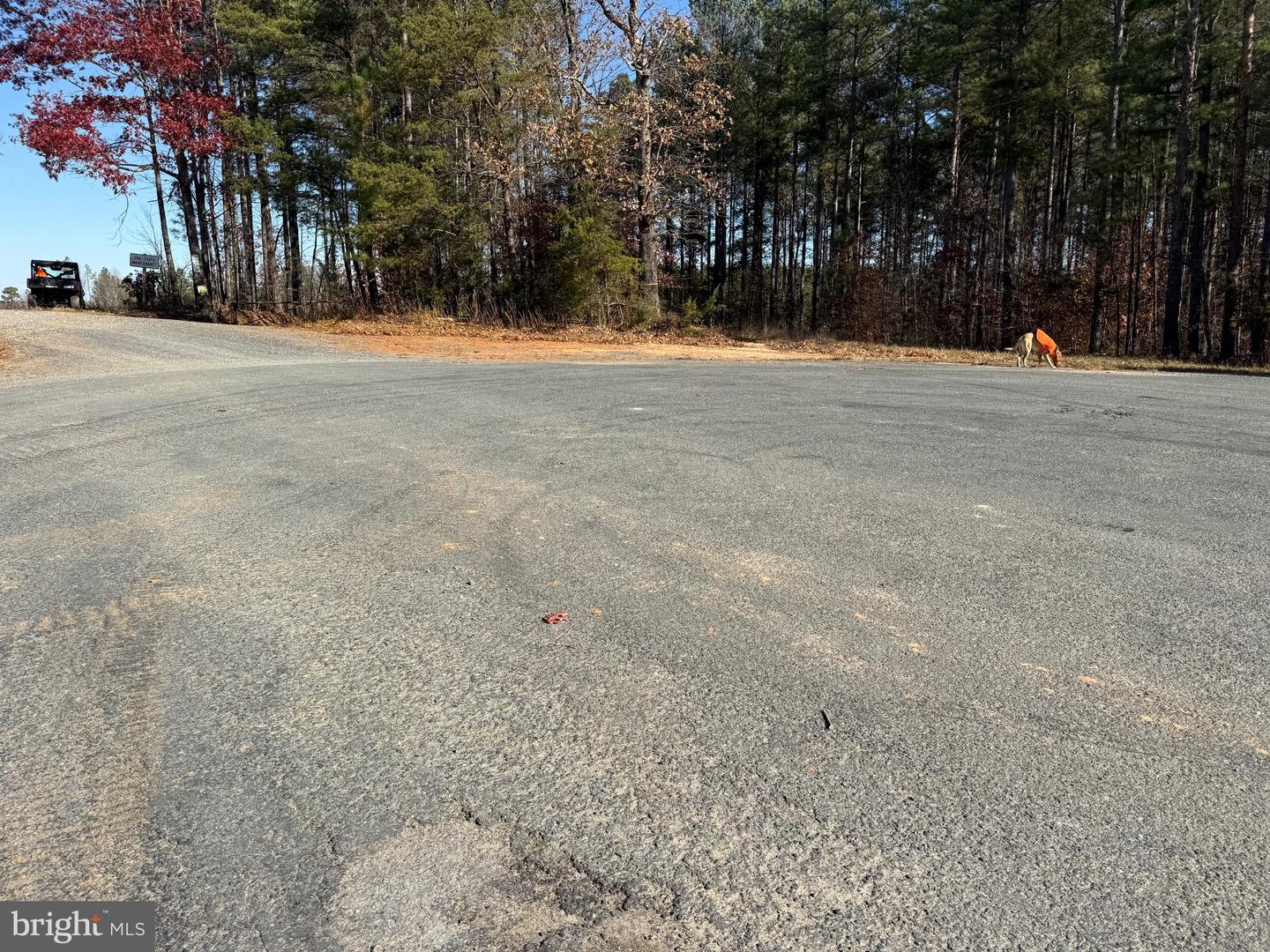 1 HARDWARE RD, SCOTTSVILLE, Virginia 24562, ,Land,For sale,1 HARDWARE RD,VABH2000242 MLS # VABH2000242