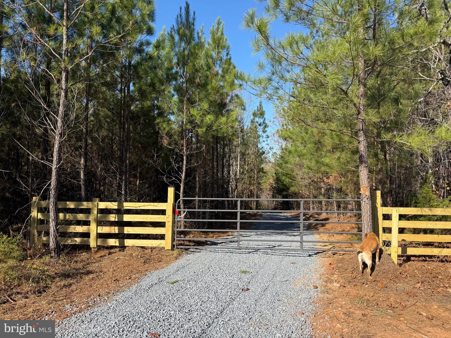 1 HARDWARE RD, SCOTTSVILLE, Virginia 24562, ,Land,For sale,1 HARDWARE RD,VABH2000242 MLS # VABH2000242