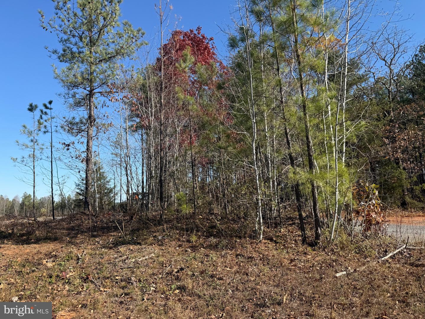 1 HARDWARE RD, SCOTTSVILLE, Virginia 24562, ,Land,For sale,1 HARDWARE RD,VABH2000242 MLS # VABH2000242