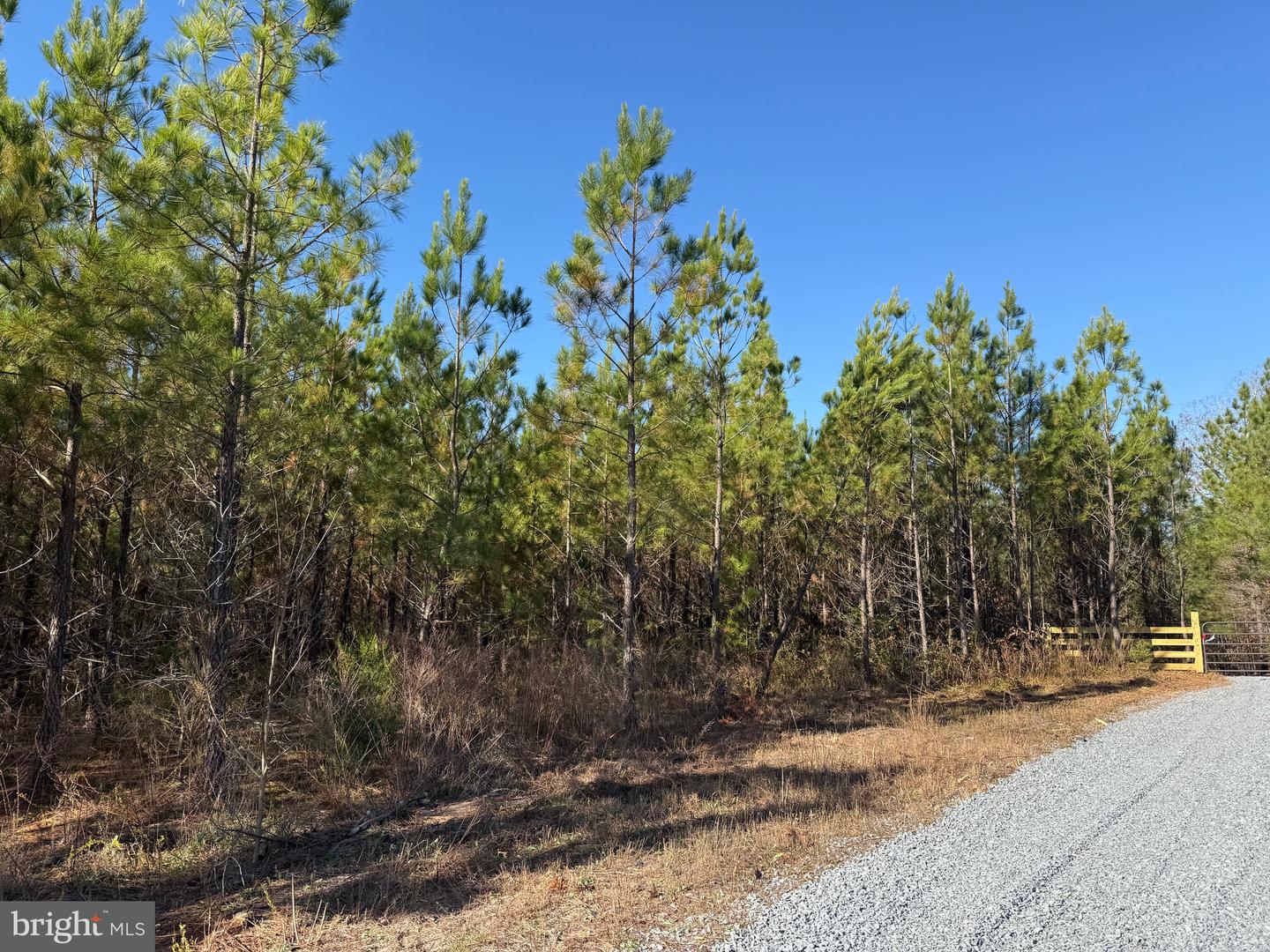 1 HARDWARE RD, SCOTTSVILLE, Virginia 24562, ,Land,For sale,1 HARDWARE RD,VABH2000242 MLS # VABH2000242