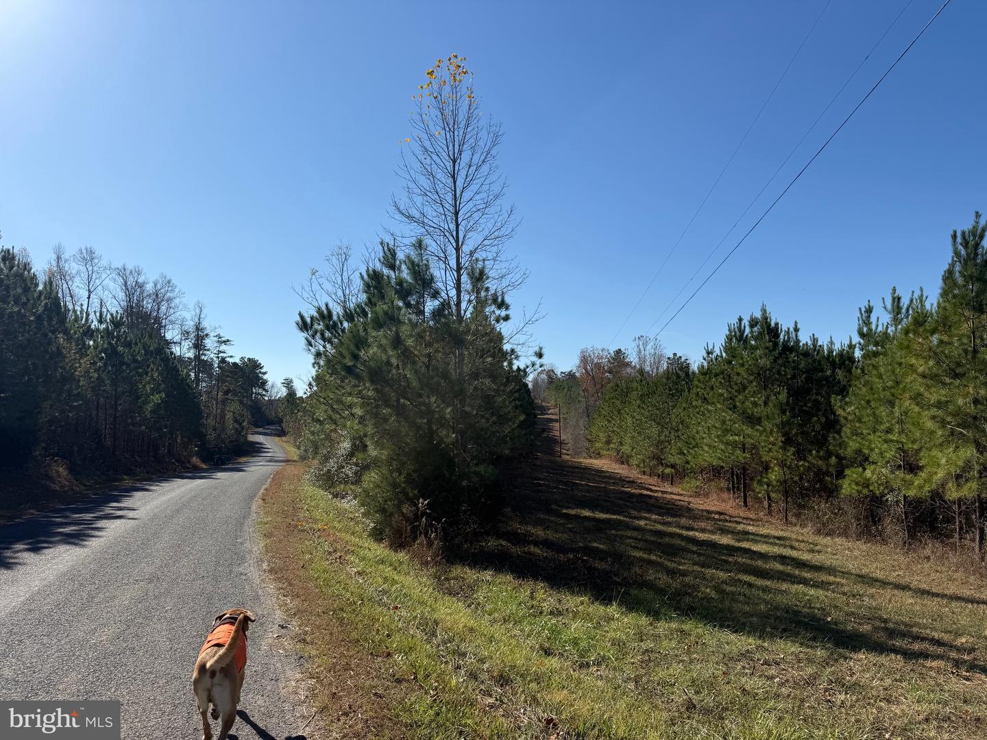 1 HARDWARE RD, SCOTTSVILLE, Virginia 24562, ,Land,For sale,1 HARDWARE RD,VABH2000242 MLS # VABH2000242