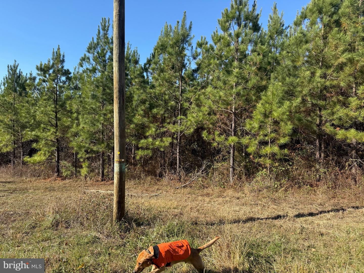 1 HARDWARE RD, SCOTTSVILLE, Virginia 24562, ,Land,For sale,1 HARDWARE RD,VABH2000242 MLS # VABH2000242