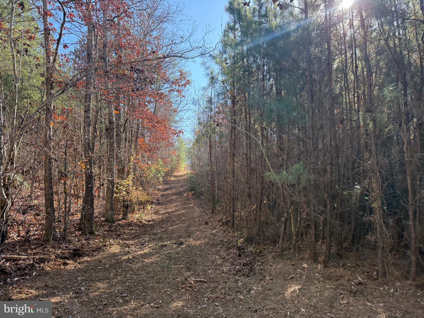 1 HARDWARE RD, SCOTTSVILLE, Virginia 24562, ,Land,For sale,1 HARDWARE RD,VABH2000242 MLS # VABH2000242