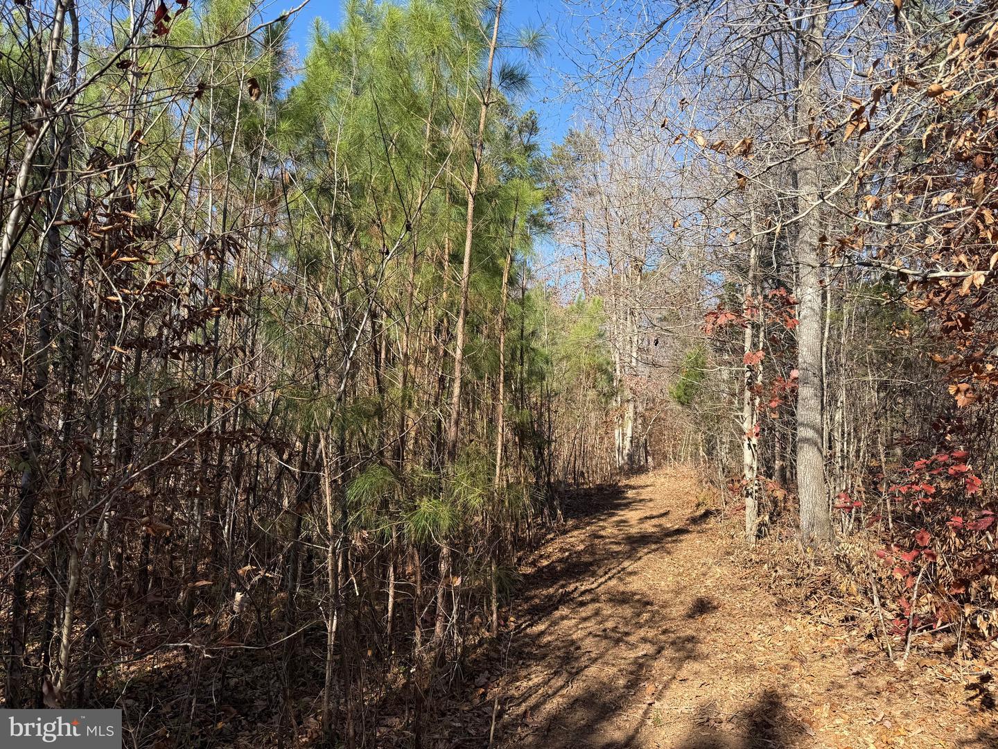 1 HARDWARE RD, SCOTTSVILLE, Virginia 24562, ,Land,For sale,1 HARDWARE RD,VABH2000242 MLS # VABH2000242