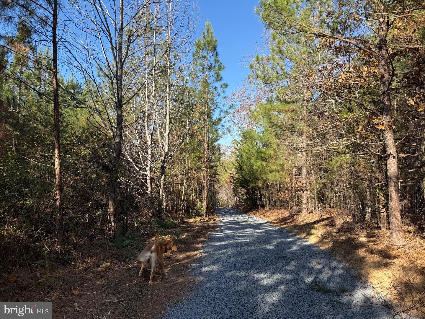 1 HARDWARE RD, SCOTTSVILLE, Virginia 24562, ,Land,For sale,1 HARDWARE RD,VABH2000242 MLS # VABH2000242