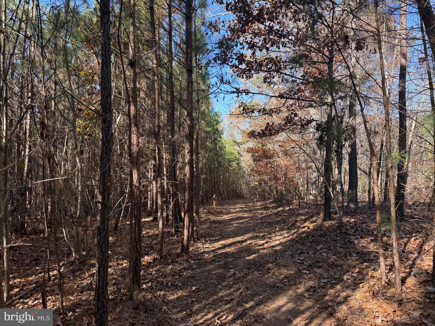 1 HARDWARE RD, SCOTTSVILLE, Virginia 24562, ,Land,For sale,1 HARDWARE RD,VABH2000242 MLS # VABH2000242