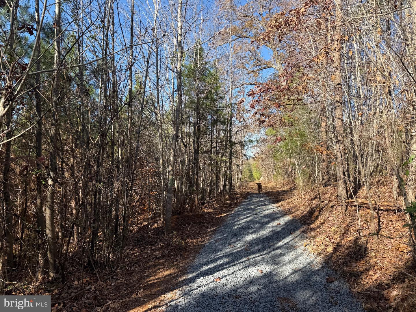 1 HARDWARE RD, SCOTTSVILLE, Virginia 24562, ,Land,For sale,1 HARDWARE RD,VABH2000242 MLS # VABH2000242