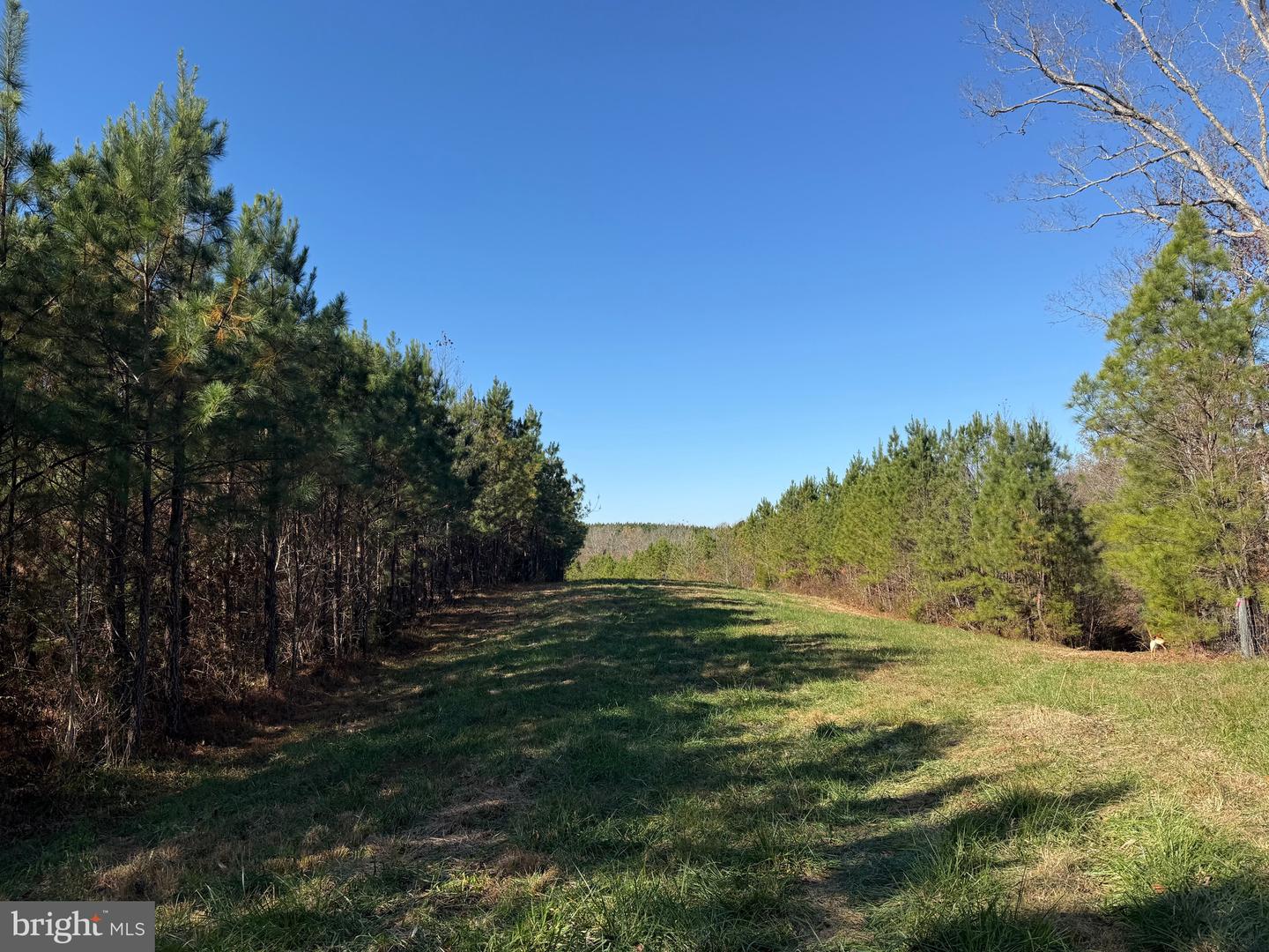 1 HARDWARE RD, SCOTTSVILLE, Virginia 24562, ,Land,For sale,1 HARDWARE RD,VABH2000242 MLS # VABH2000242